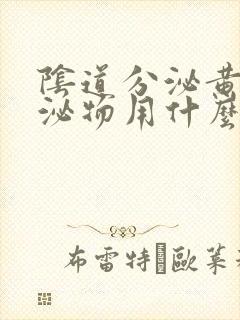 阴道分泌黄色分泌物用什么药