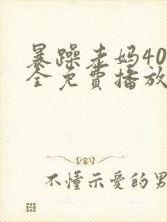 暴躁老妈40集全免费播放电视剧视频