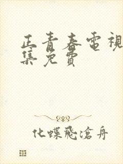 正青春电视剧全集免费