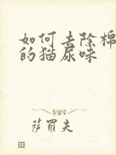 如何去除棉被上的猫尿味