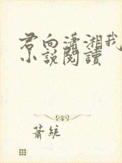 君向潇湘我向秦小说阅读封面