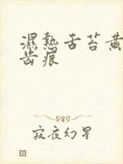 湿热舌苔黄腻有齿痕