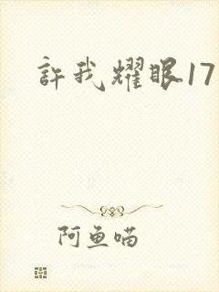 许我耀眼17集封面