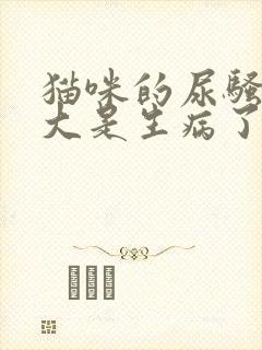 猫咪的尿骚味很大是生病了吗封面