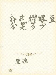 许我耀眼豆瓣评分是多少