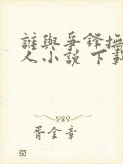 谁与争锋抚琴的人小说 下载