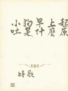 小狗早上起来呕吐是什么原因