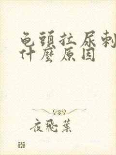 龟头拉尿刺痛是什么原因封面