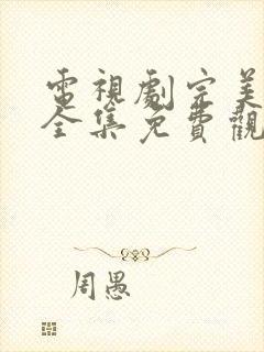 电视剧完美伴侣全集免费观看