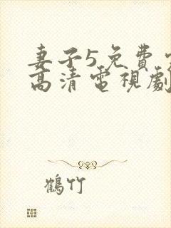 妻子5免费完整高清电视剧在线观看