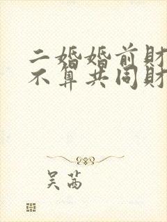 二婚婚前财产算不算共同财产