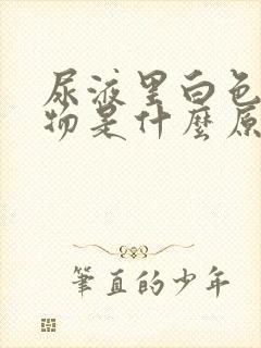 尿液里白色沉淀物是什么原因封面