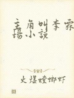 主角叫李霖的官场小说