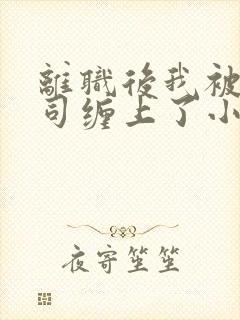 离职后我被前上司缠上了小说完整