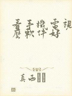 看手机电视用什么软件好