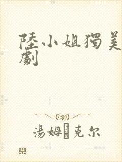 陆小姐独美后网剧