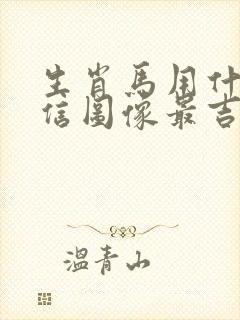 生肖马用什么微信图像最吉利