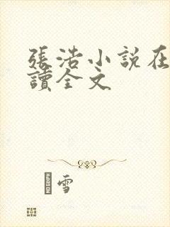 张浩小说在线阅读全文