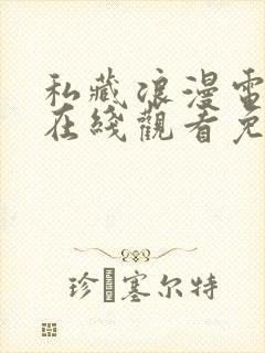 私藏浪漫电视剧在线观看免费高清封面