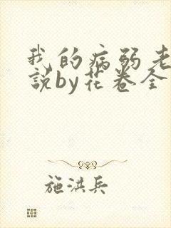 我的病弱老婆小说by花卷全文免费阅读