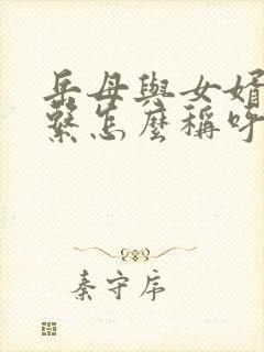 岳母与女婿的关系怎么称呼封面