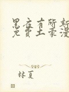 黑夜有所斯漫画免费土豪漫画封面