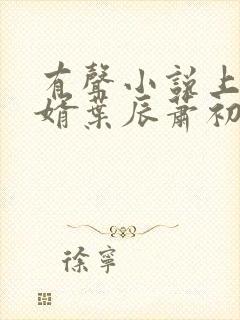 有声小说上门龙婿叶辰萧初然封面