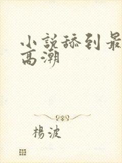 小说舔到最后了高潮