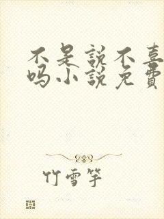 不是说不喜欢我吗小说免费阅读封面