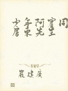 少年阿宾同人之房东先生封面