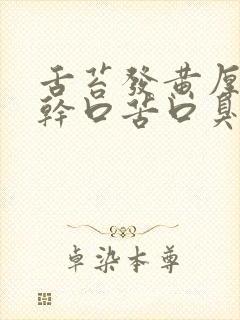 舌苔发黄厚腻口干口苦口臭的药