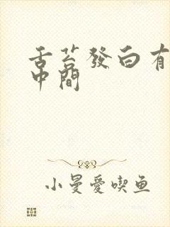 舌苔发白有齿痕中间