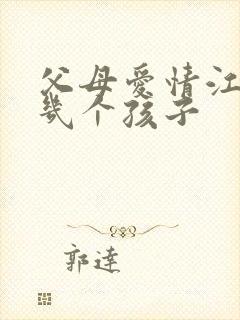 父母爱情江德福几个孩子封面