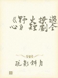 《野火撩过姐姐心》短剧全集封面