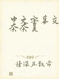 中文字幕交换岬奈奈美