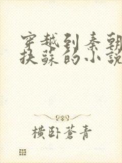 穿越到秦朝忽悠扶苏的小说