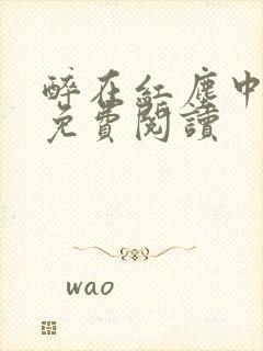 醉在红尘中全文免费阅读