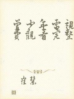 曾少年电视剧免费观看完整版高清封面