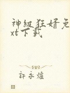 神级狂婿免费txt下载