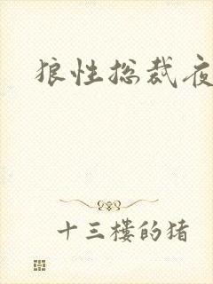 狼性总裁夜欢宠