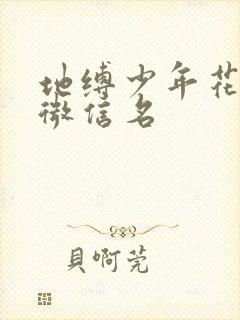 地缚少年花子君微信名