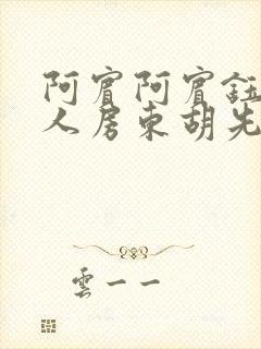 阿宾阿宾钰慧同人房东胡先生