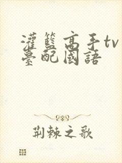 灌篮高手tv版台配国语