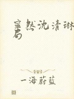 宁然沈清琳大结局