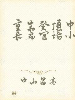 重生登顶中央的长篇官场小说