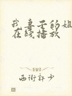 我妻子的姐姐3在线播放封面