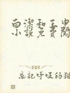 白洁和王申结局小说免费阅读封面