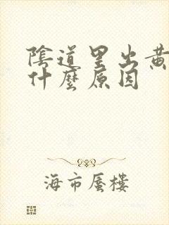 阴道里出黄水是什么原因