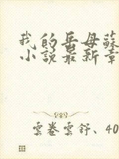 我的岳母苏沛真小说最新章节