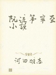 阮流筝宁至谦 小说